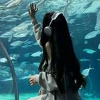💙墨丹青🐬头像