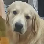 谁是七侠镇一妈头像