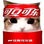 波波B哆头像