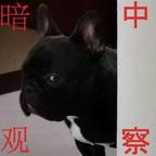 LMS。头像
