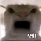 小田头像