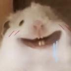 小仓鼠头像