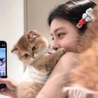 糖糖是只🐱头像