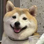不中咧给我看成制杖了头像
