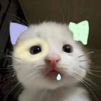 笙浔头像