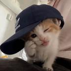 jisamiiy头像