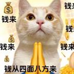 看剧的红红头像