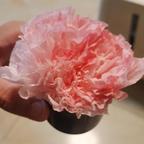 冰烟叶子头像