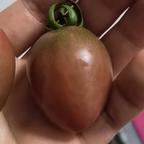 秘籍绿豆头像