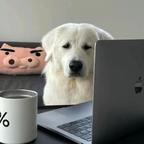燕永乐头像