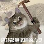 啊？！⚆_⚆头像
