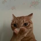 半仙吉头像