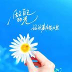 静心1031头像
