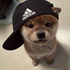 反派头像