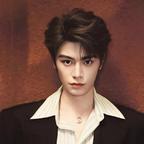 一宝的小狐狸头像