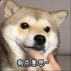 小扬乖乖头像