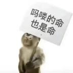 我是一只马喽猴头像
