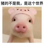 重生之我和红果一辈子头像