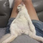 误解深陷的甄珠头像