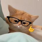 知聿头像