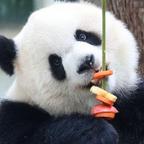 果子好吃头像