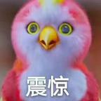 夏家小多多头像