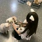 ☆☆头像