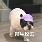 馒头他姐头像