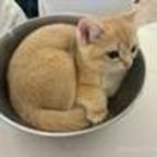 伊霖头像