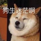 随便看看咯头像