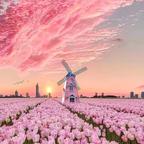 一朝一夕亿郎君头像