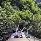 新词思意浓.头像