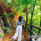 何～何～何桃酥头像
