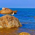 乄卝头像