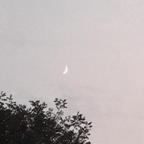 追月亮🌙头像