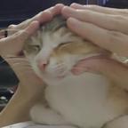 木木头像