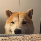 为什么不是雨天头像