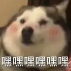 用户名88393630头像