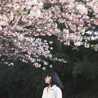 迷途小书童miu头像