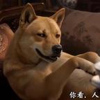 益碗汤瓶头像