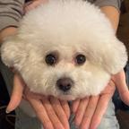 lululullulululu头像