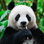京北大学的柳嘉熙头像