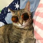 艾娜头像