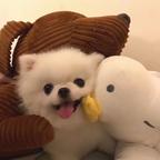 用户名78529436头像