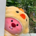 调皮鱼尾苏雨眠头像