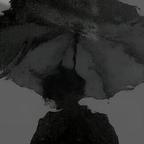 me....头像