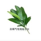 九里冬头像