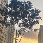 心自清明头像