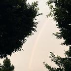 月亮捎来橘子汽水头像