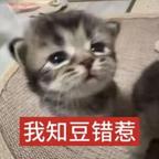 男人不自爱就像烂白菜头像